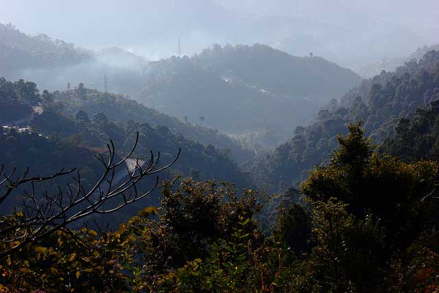 Kasauli