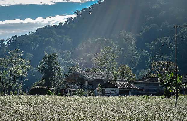 Namdapha National Park