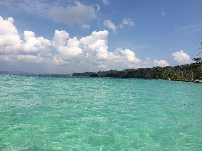 Elephant Beach, Havelock Island - Entry Fee, Visit Timings, Things To ...